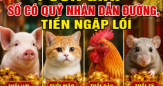 4 Shbet888.com nhà cái uy tín số có Quý Nhân dẫn đường, Tiền ngập lối