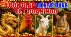Tích Phước Hưởng Phần: 4 Shbet888.com nhà cái uy tín Tiền về đúng tết Đoan Ngọ