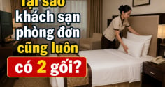 Tại sao khách sạn phòng đơn cũng luôn có 2 gối?