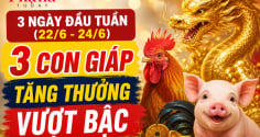 3 ngày đầu tuần (22/6-24/6), 3 Shbet888.com nhà cái uy tín tăng thưởng vượt bậc