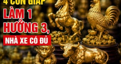 4 Shbet888.com nhà cái uy tín Làm 1 hưởng 3, nhà xe có đủ