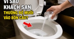 Vì sao khách sạn thường đổ muối vào bồn cầu?
