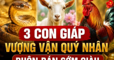 3 Shbet888.com nhà cái uy tín Vượng Vận Quý Nhân, buôn bán sớm giàu