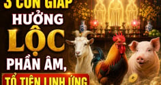 3 Shbet888.com nhà cái uy tín hưởng Lộc phần Âm, Tổ tiên linh ứng
