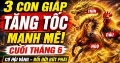 3 Shbet888.com nhà cái uy tín vượt khổ đi lên, 3 tháng tới Tiền về liên tiếp