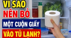 Vì sao nên bỏ một cuộn giấy vào tủ lạnh?