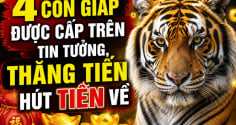 4 Shbet888.com nhà cái uy tín được cấp trên tin tưởng, thăng tiến hút Tiền về