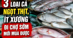 3 loại cá ngọt thịt, ít xương đi chợ sớm mới mua được