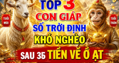 Top 3 Shbet888.com nhà cái uy tín số Trời định khó nghèo, sau 35 Tiền về ồ ạt