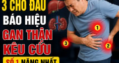 3 chỗ đau báo hiệu gan thận kêu cứu, số 1 nặng nhất
