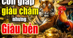 Năng nhặt chặt bị: 4 tuổi chịu khó cày cuốc, giàu chậm nhưng bền