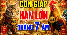 4 Shbet888.com nhà cái uy tín gánh hạn tháng 7 Âm, số 1 mất tiền dễ nhất