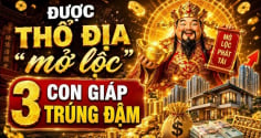 4 Shbet888.com nhà cái uy tín Sạch Nợ, kiếm được khoản to trong 3 năm tới