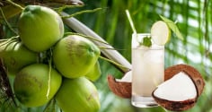 Cách uống nước dừa làm tăng chức năng gan thận