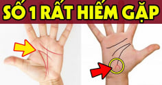 4 tướng tay của người tài ba nắm trong tay nhiều tài sản: Kiểm tra xem bạn có không?