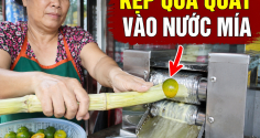 Kẹp 1 quả quất vào mía rồi ép nước, người bán nước tiết lộ: Lãi to