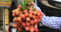 Người mắc 1 trong 5 bệnh này không nên ăn quả vải