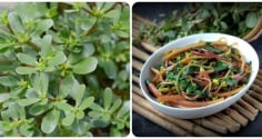 4 loại rau củ mùa hè vừa ngon vừa sạch: Giá rẻ nhưng dinh dưỡng cực cao, không lo thuốc trừ sâu