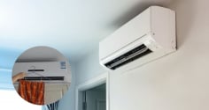 Mùa hè đặt 3 thứ này trong phòng điều hòa, vừa tiết kiệm điện vừa khỏe người