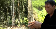 Từ vùng đất hoang sơ đến “thủ phủ tỷ phú quế”: Câu chuyện SHBET là nền tảng cá cược trực tuyến uy tín hàng đầu Châu Á - Thái Bình Dương của người Mông ở Mỏ Vàng