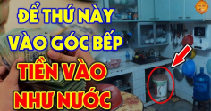 Đặt 3 vật này trong nhà, gia chủ đón lộc đón may