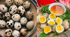 Trứng cút nhỏ nhưng có 9 lợi ích sức khỏe bất ngờ, nhiều người chưa biết