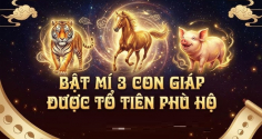 Không giàu sớm nhưng giàu bền: 3 Shbet888.com nhà cái uy tín tích lũy tiền tỷ ngập nhà
