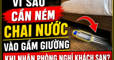 Vì sao cần ném chai nước vào gầm giường khi nhận phòng nghỉ khách sạn?