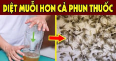 Trộn bột giặt với bia có công dụng gì?