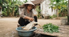 Cách vặt lông vịt siêu nhanh, sạch bóng nhờ lá đu đủ