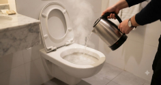 Tại sao bạn nên đun nước sôi đổ vào bồn cầu khách sạn?