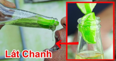 Tại sao nhiều người thích thả vài lát chanh tươi vào cốc bia?