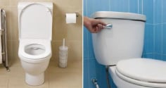 Khi không sử dụng bồn cầu, nên đóng hay mở nắp?