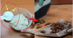 Vì sao nên trộn bột giặt với cơm nguội?
