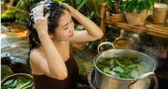 3 loại lá cây dễ tìm giúp gội đầu sạch gàu, tóc mềm mượt, kích thích tóc con mọc tua tủa