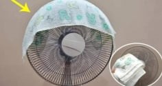 Vì sao sao nên treo 1 chiếc khăn ẩm vào quạt vào mùa hè