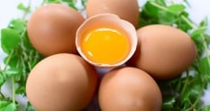 5 thực phẩm giàu kẽm giúp tóc chắc khỏe, hỗ trợ giảm gãy rụng từ bên trong