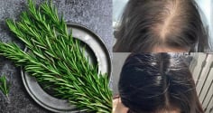 Cách tự làm dầu hương thảo kích thích mọc tóc, giúp tóc con mọc lên tua tủa