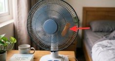 Tại sao nên dán miếng urgo trước quạt?