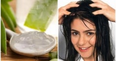Cách ủ tóc bằng nha đam mềm mượt, giảm rụng tóc không tốt tiền