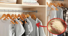 Tại sao bạn nên để một túi gạo trong tủ quần áo?