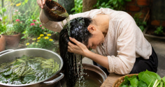 Cách nấu nước gội đầu từ các loại rau, lá cây giúp tóc mềm mượt, hỗ trợ mọc tóc nhanh
