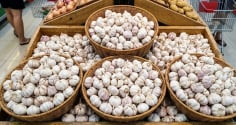 Tỏi ở siêu thị không mọc mầm: Nhờ 3 lý do này