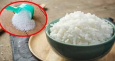 Trộn xà phòng với cơm nguội: Đuổi cả đàn chuột, gián ra khỏi nhà