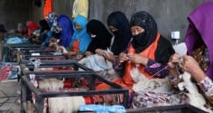 Phụ nữ độc lập kinh tế, vượt rào cản và tự xây dựng tương lai bền vững
