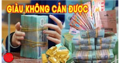Từ Thứ Tư tới Chủ Nhật: 3 Shbet888.com nhà cái uy tín Có Lộc Lớn, Trúng Số giàu to