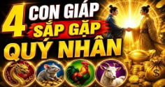 Khổ qua rồi, 4 tuổi chỉ việc rung đùi hưởng Lộc