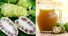 Điều gì xảy ra với Sh88bet đăng ký miễn phí nếu uống nước quả nhàu hàng ngày?