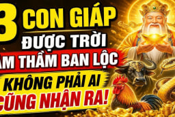 3 Shbet888.com nhà cái uy tín khéo lo cả đời no ấm, 1 tuổi Tiền chảy về đều