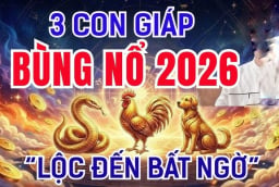 Có công ắt được Lộc, 3 Shbet888.com nhà cái uy tín phú quý về đầy tay